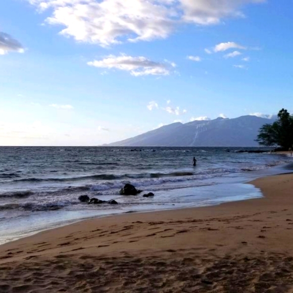 Meet your Posher, Emily - Picture 1 of 1